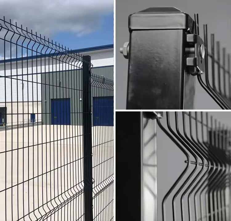 1723246356818140.jpg 3.2.jpg