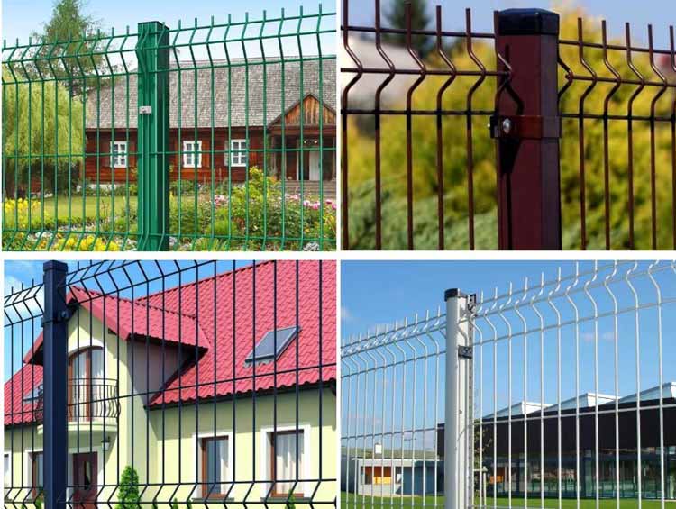 1724496729417401.jpg 3.2.jpg