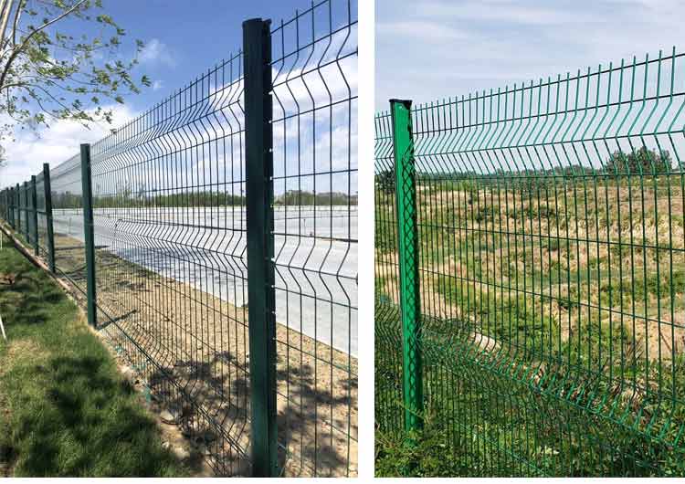 1726014152130431.jpg 3.2.jpg