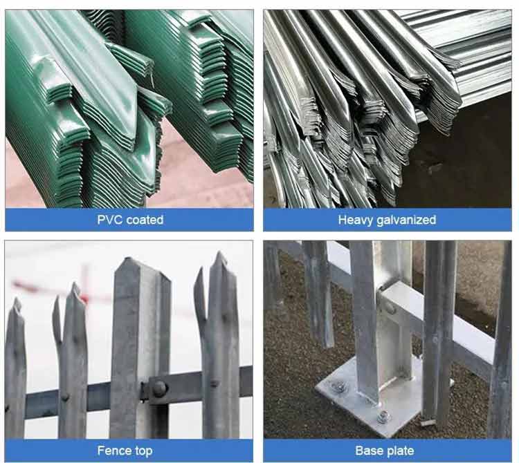 1726886577663625.jpg 3.2.jpg