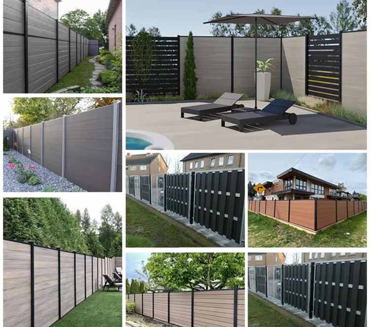 1732836593884785.jpg 3.22.jpg