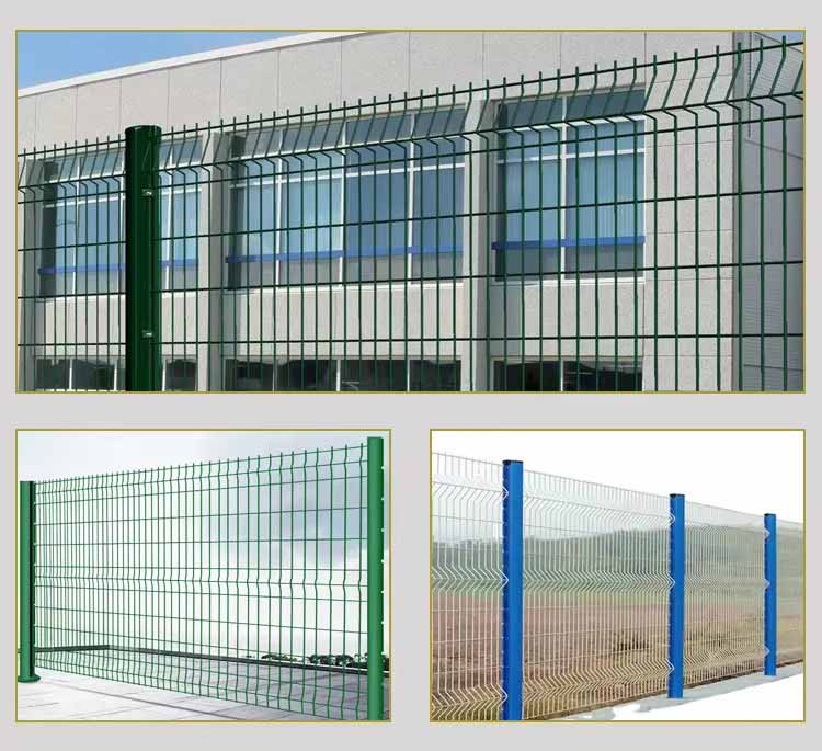 1734222213509603.jpg 3.2.jpg